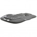 Logitech Wireless Keyboard K350 Black USB (920-002025)