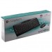 Logitech Wireless Combo MK330 Black (920-003995)